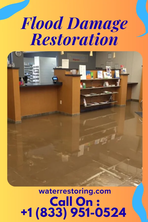 Flood Damage Restoration in Town Creek, AL